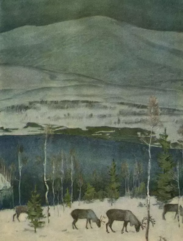 Александр Гавеман - Лес : Беседы лесовода - Страница № 55