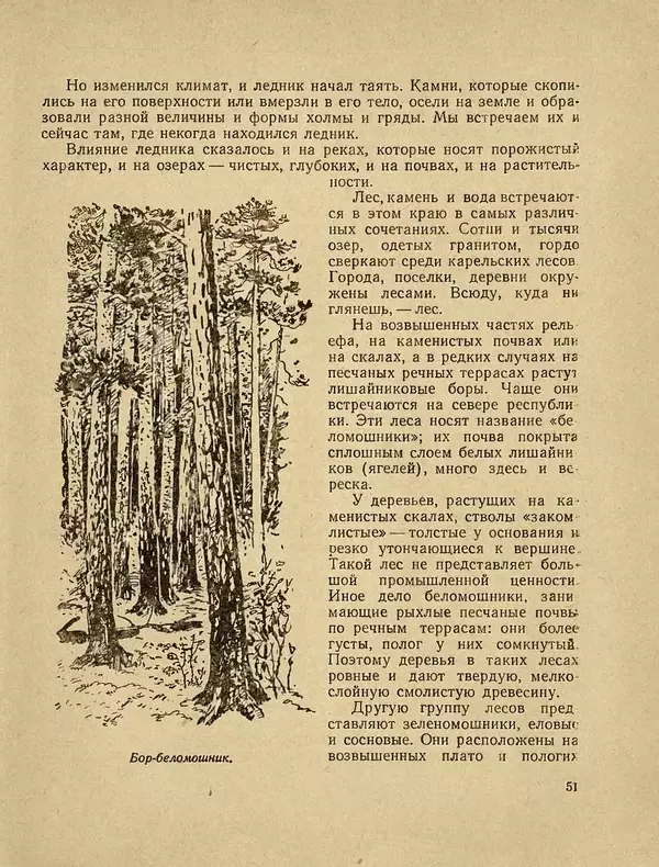 Александр Гавеман - Лес : Беседы лесовода - Страница № 59