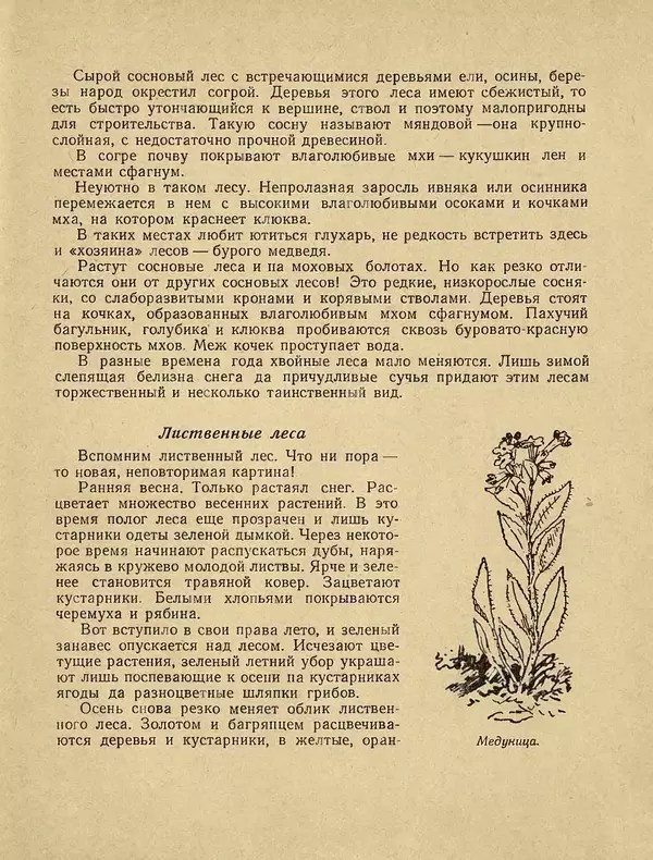 Александр Гавеман - Лес : Беседы лесовода - Страница № 69