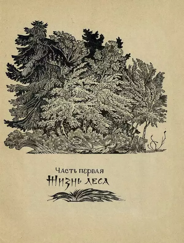Александр Гавеман - Лес : Беседы лесовода - Страница № 7