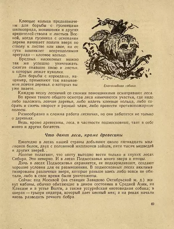 Александр Гавеман - Лес : Беседы лесовода - Страница № 77