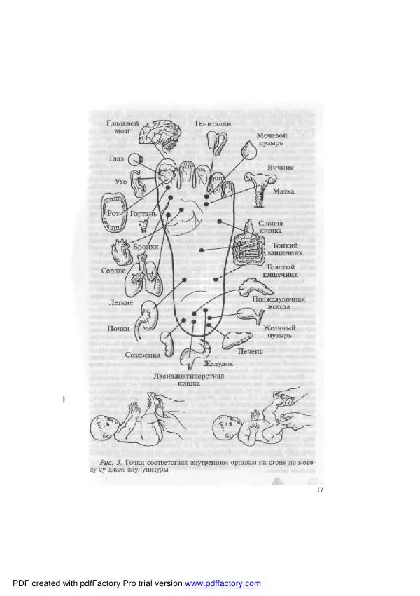 Ирина Прилепина - Закаливание малыша. Пособие для родителей - Страница № 16