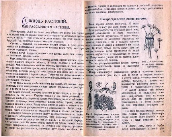 Владимир Тетюрев - Естествознание. Учебник для 4 класса начальной школы - Страница № 3