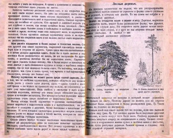 Владимир Тетюрев - Естествознание. Учебник для 4 класса начальной школы - Страница № 6
