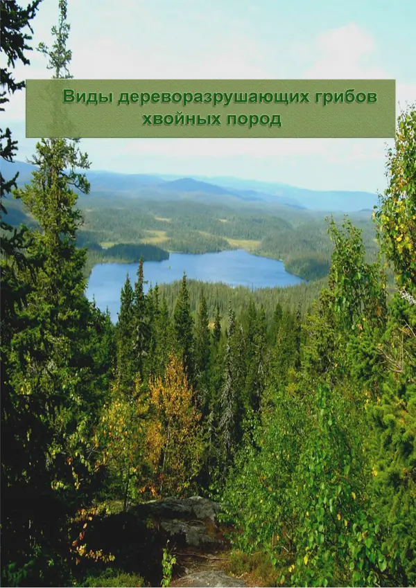  Коллектив авторов - Атлас-определитель дереворазрушающих грибов лесов Русской равнины - Страница № 122