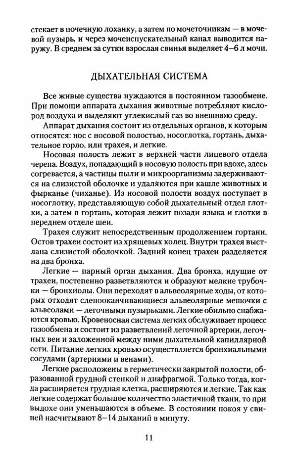 Виктор Горбунов - Свиньи. Разведение. Содержание. Уход - Страница № 12