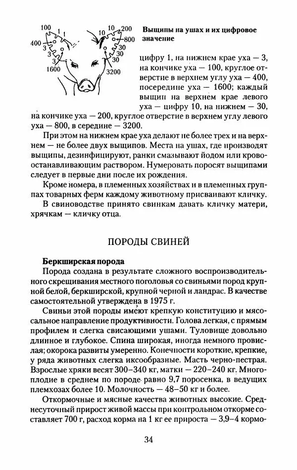 Виктор Горбунов - Свиньи. Разведение. Содержание. Уход - Страница № 35