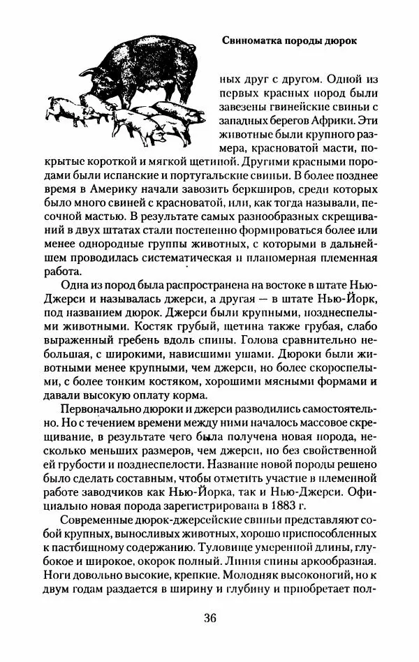 Виктор Горбунов - Свиньи. Разведение. Содержание. Уход - Страница № 37