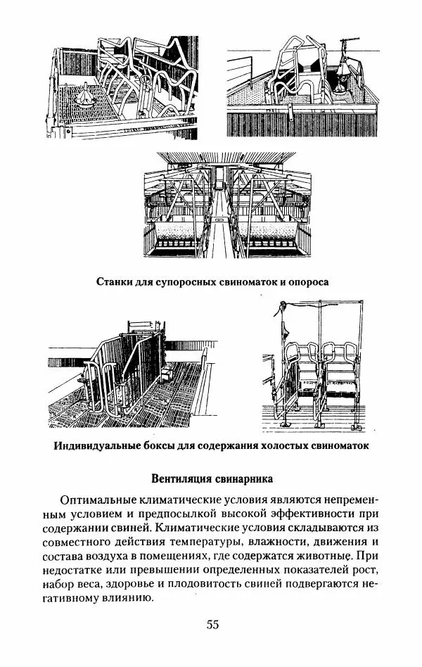 Виктор Горбунов - Свиньи. Разведение. Содержание. Уход - Страница № 56
