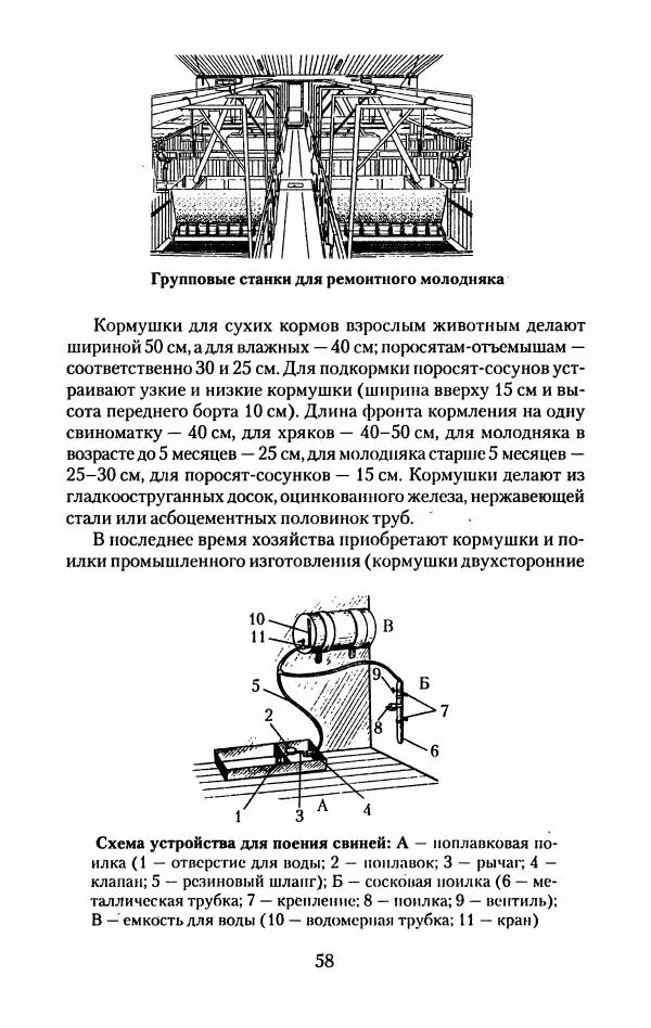 Виктор Горбунов - Свиньи. Разведение. Содержание. Уход - Страница № 59