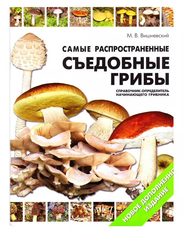 Михаил Вишневский - Самые распространенные съедобные грибы: справочник-определитель начинающего грибника - Страница № 1