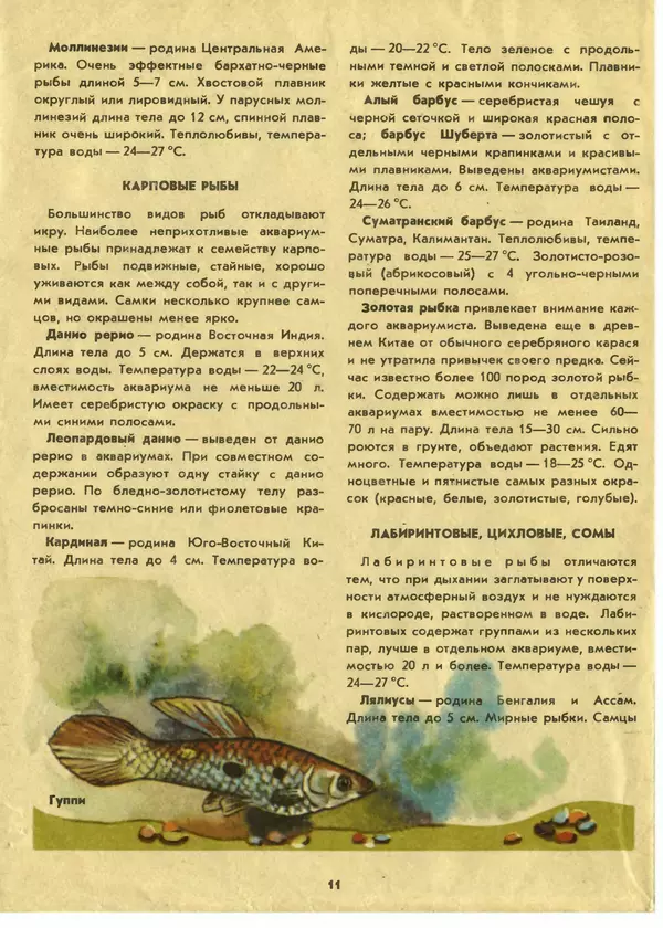 И. Шереметьев - Ваш первый аквариум - Страница № 12