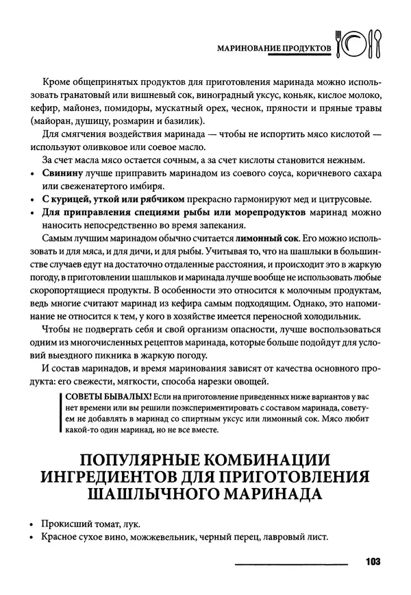 Элга Боровская - Готовим на мангале, на гриле, в казане - Страница № 104