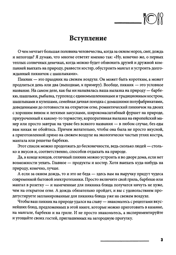 Элга Боровская - Готовим на мангале, на гриле, в казане - Страница № 4