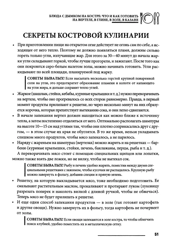 Элга Боровская - Готовим на мангале, на гриле, в казане - Страница № 52