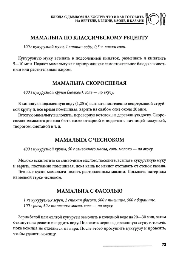 Элга Боровская - Готовим на мангале, на гриле, в казане - Страница № 74