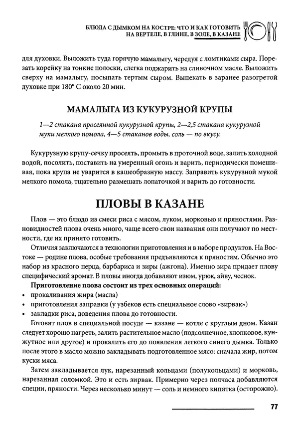 Элга Боровская - Готовим на мангале, на гриле, в казане - Страница № 78