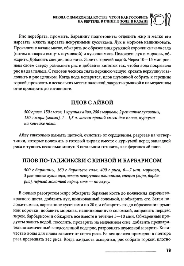 Элга Боровская - Готовим на мангале, на гриле, в казане - Страница № 80