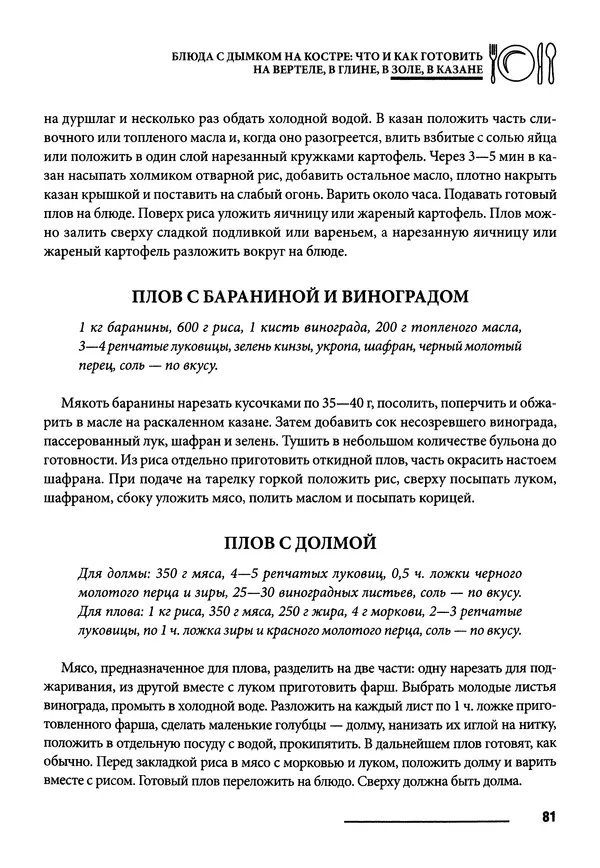 Элга Боровская - Готовим на мангале, на гриле, в казане - Страница № 82