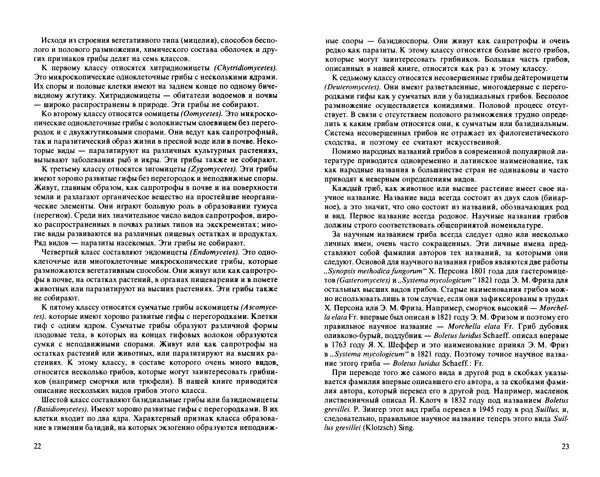 Аурел Дермек - Грибы - Страница № 11