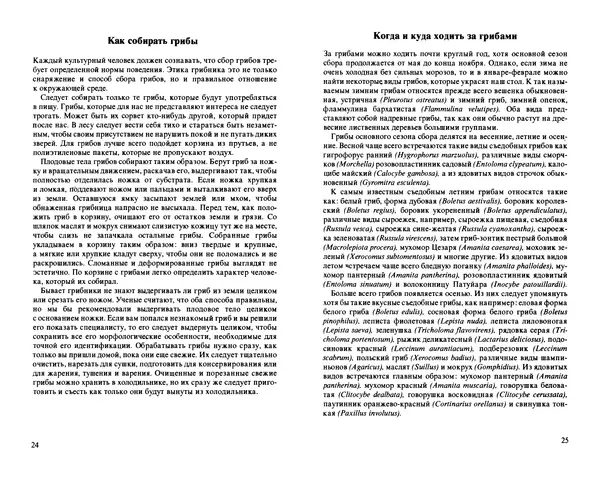 Аурел Дермек - Грибы - Страница № 12