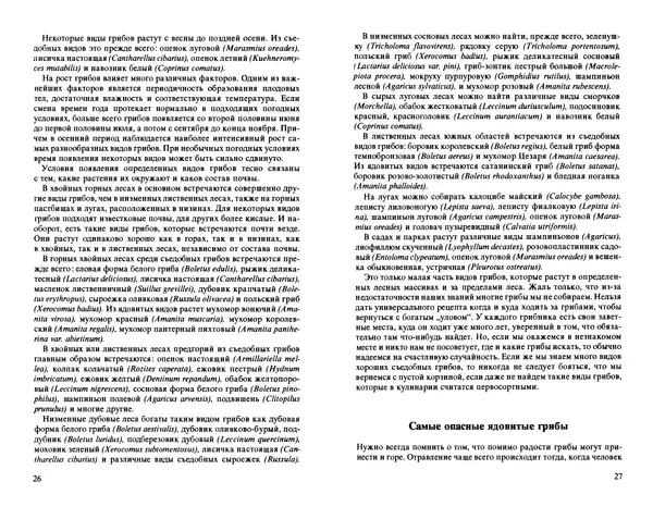 Аурел Дермек - Грибы - Страница № 13