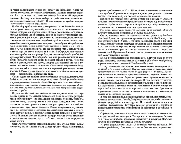 Аурел Дермек - Грибы - Страница № 14