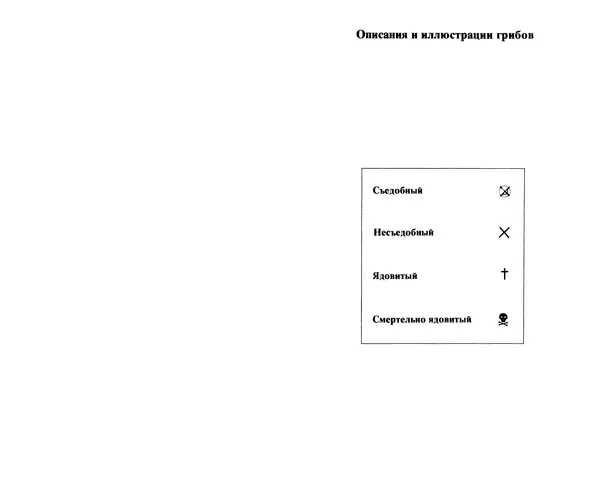 Аурел Дермек - Грибы - Страница № 21