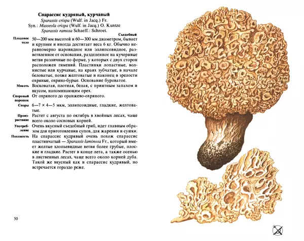 Аурел Дермек - Грибы - Страница № 25