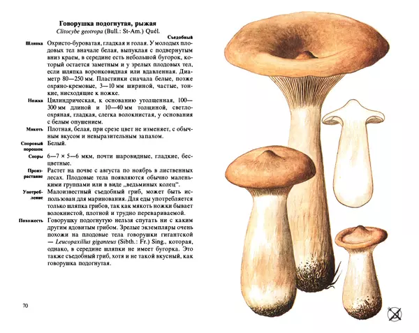 Аурел Дермек - Грибы - Страница № 35