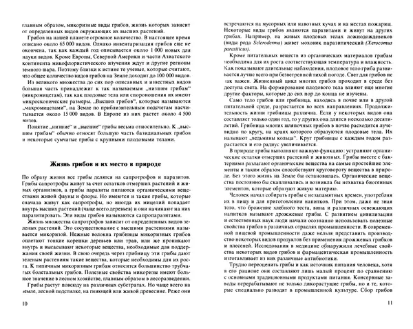 Аурел Дермек - Грибы - Страница № 5