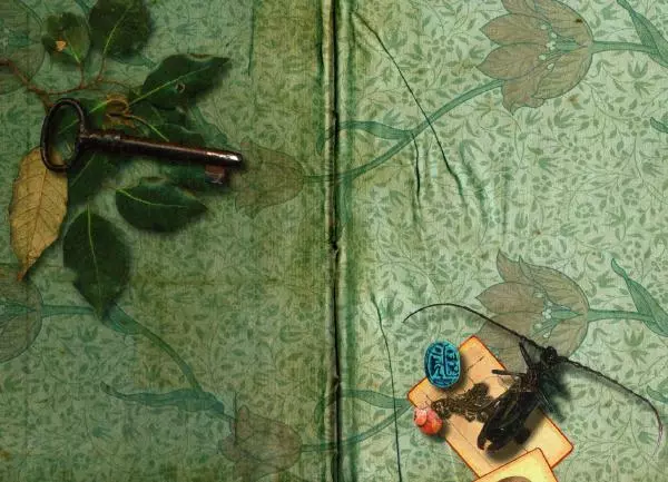 Муни Витчер - Нина. Волшебная книга девочки Шестой Луны - Страница № 2