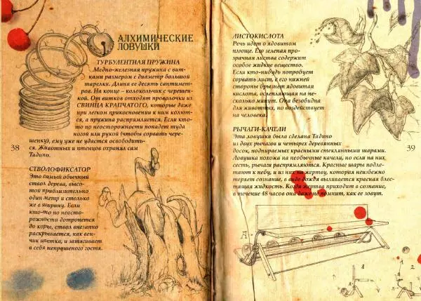 Муни Витчер - Нина. Волшебная книга девочки Шестой Луны - Страница № 22