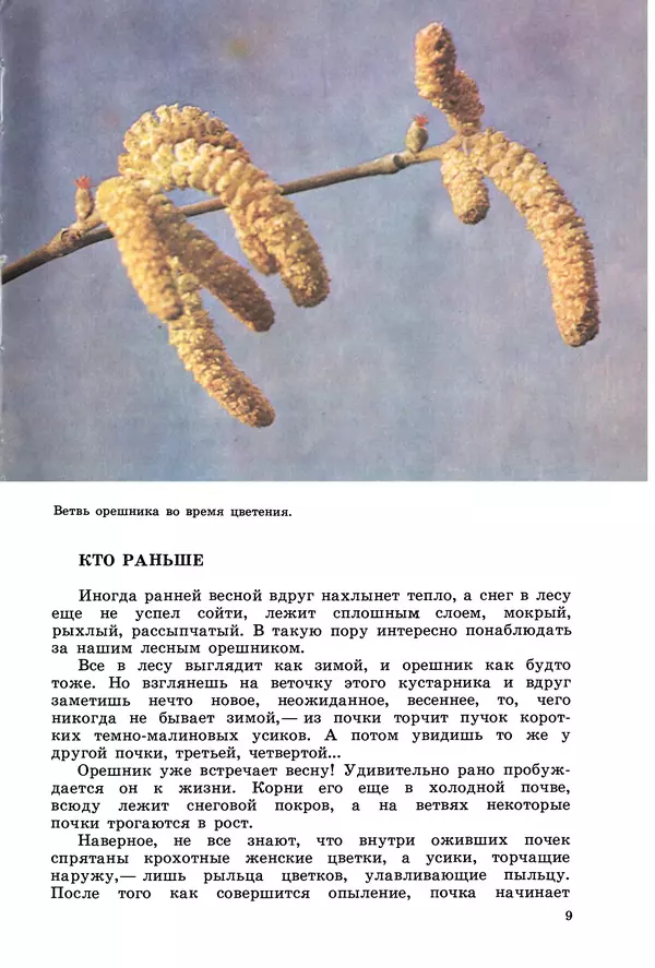 Владимир Петров - Из жизни зелёного мира - Страница № 12