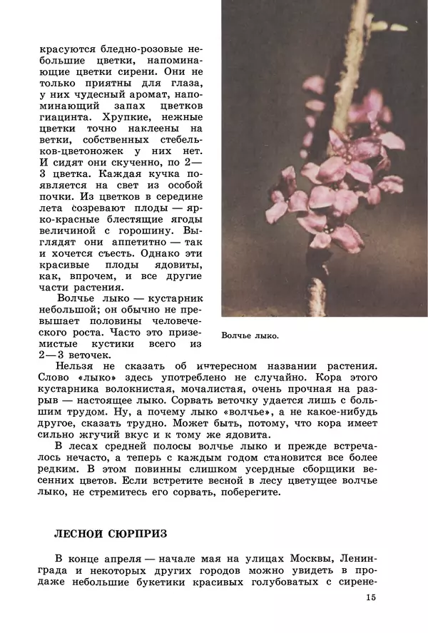 Владимир Петров - Из жизни зелёного мира - Страница № 18