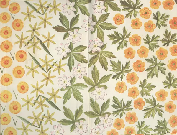 Владимир Петров - Из жизни зелёного мира - Страница № 2