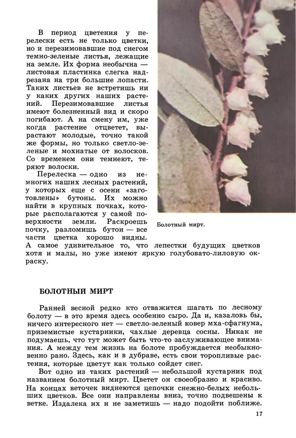 Владимир Петров - Из жизни зелёного мира - Страница № 20
