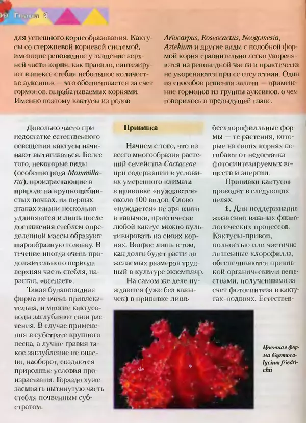Сергей Батов - Секреты выращивания кактусов - Страница № 100