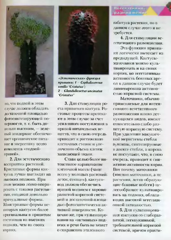 Сергей Батов - Секреты выращивания кактусов - Страница № 101