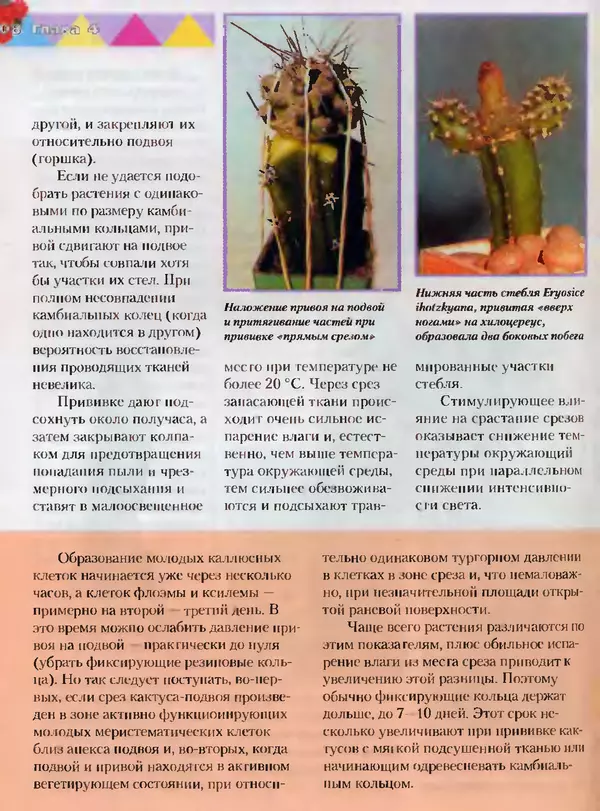 Сергей Батов - Секреты выращивания кактусов - Страница № 108