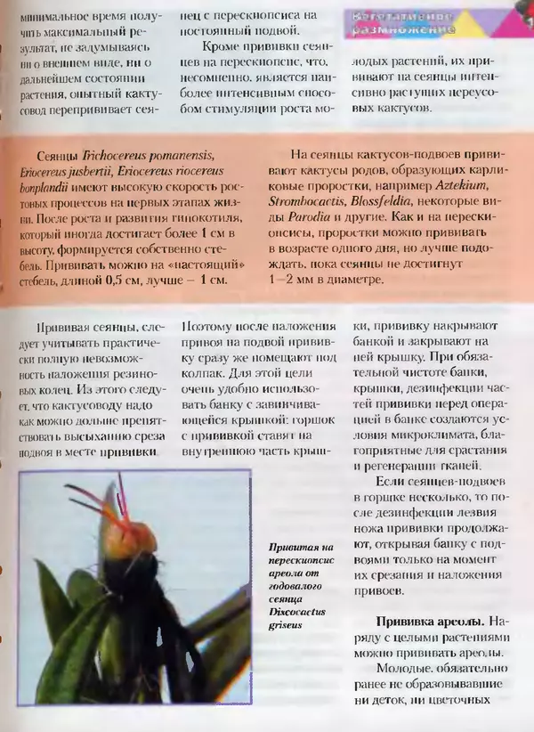 Сергей Батов - Секреты выращивания кактусов - Страница № 113