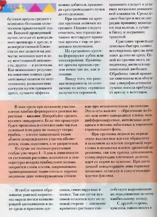 Сергей Батов - Секреты выращивания кактусов - Страница № 114
