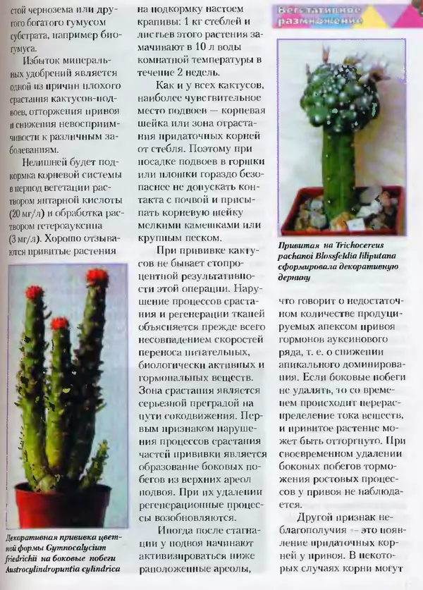 Сергей Батов - Секреты выращивания кактусов - Страница № 117