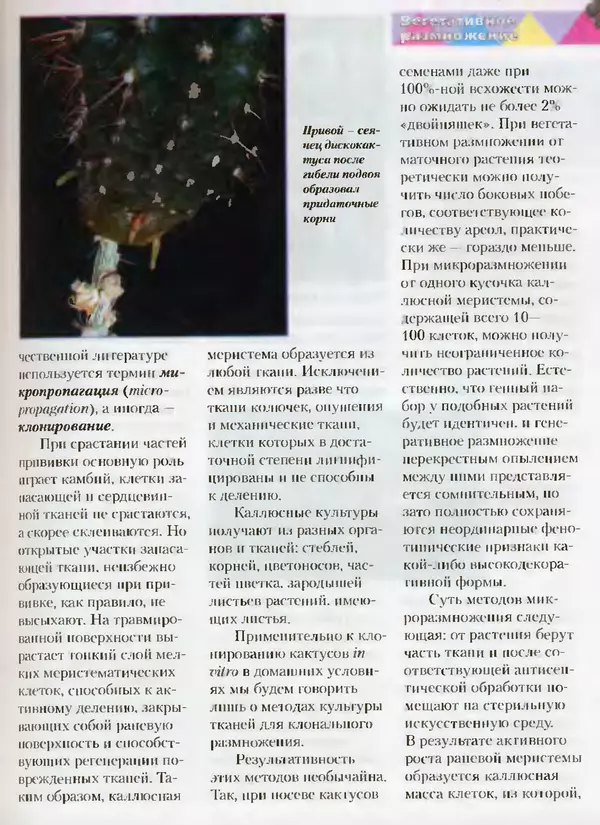 Сергей Батов - Секреты выращивания кактусов - Страница № 119