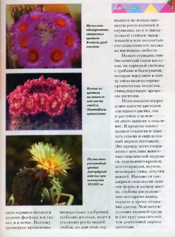 Сергей Батов - Секреты выращивания кактусов - Страница № 125