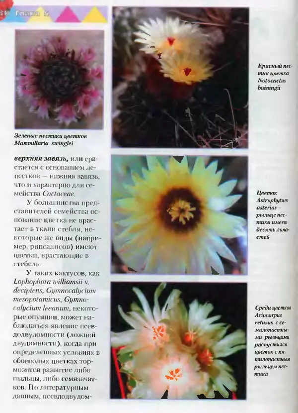 Сергей Батов - Секреты выращивания кактусов - Страница № 130