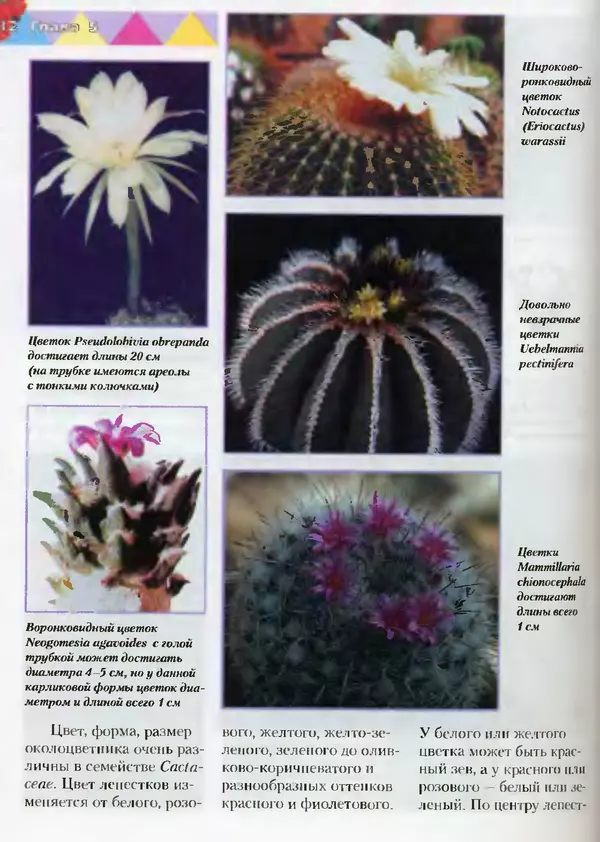 Сергей Батов - Секреты выращивания кактусов - Страница № 132