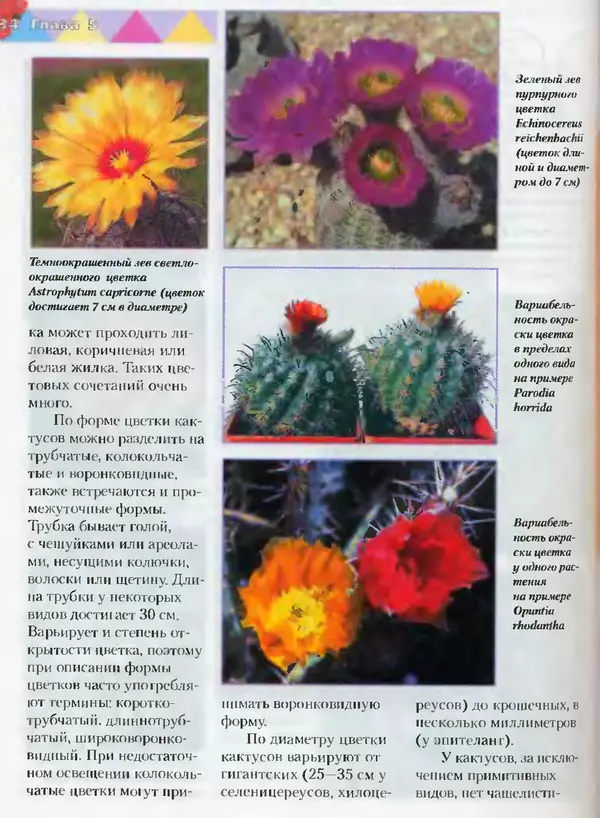 Сергей Батов - Секреты выращивания кактусов - Страница № 134