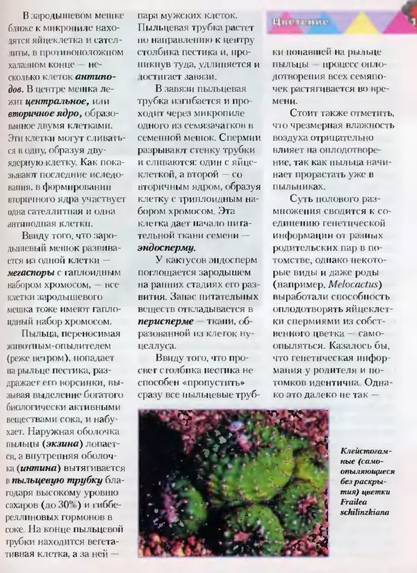 Сергей Батов - Секреты выращивания кактусов - Страница № 137