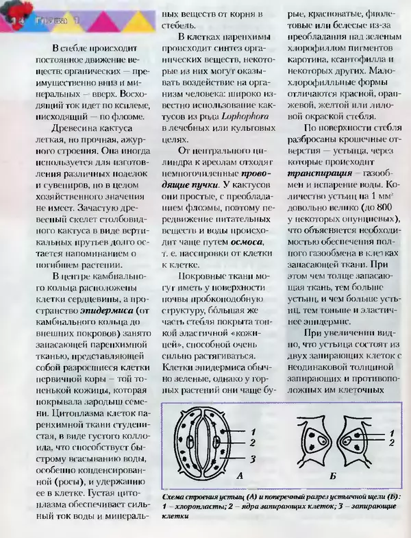 Сергей Батов - Секреты выращивания кактусов - Страница № 14